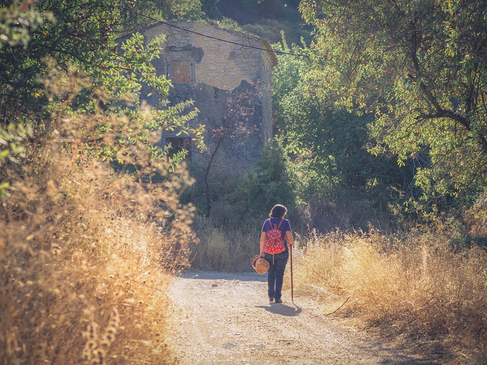 Corfu herbal walks